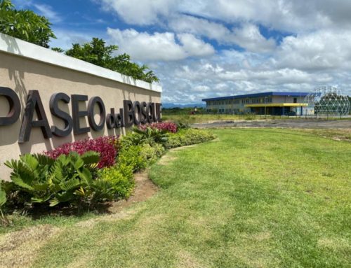Educación bilingüe a pasos de tu casa en Paseo del Bosque!
